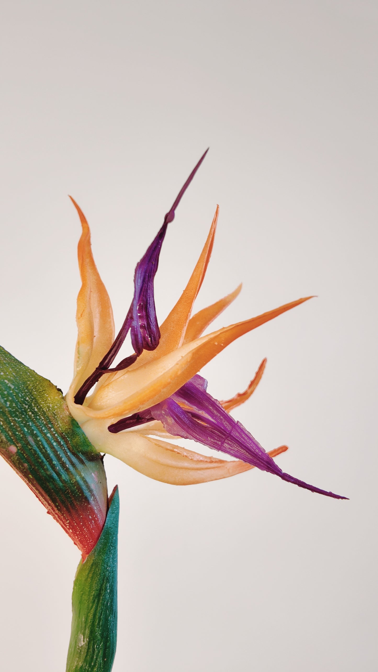 Bird of Paradise Flower Real Touch Stem
