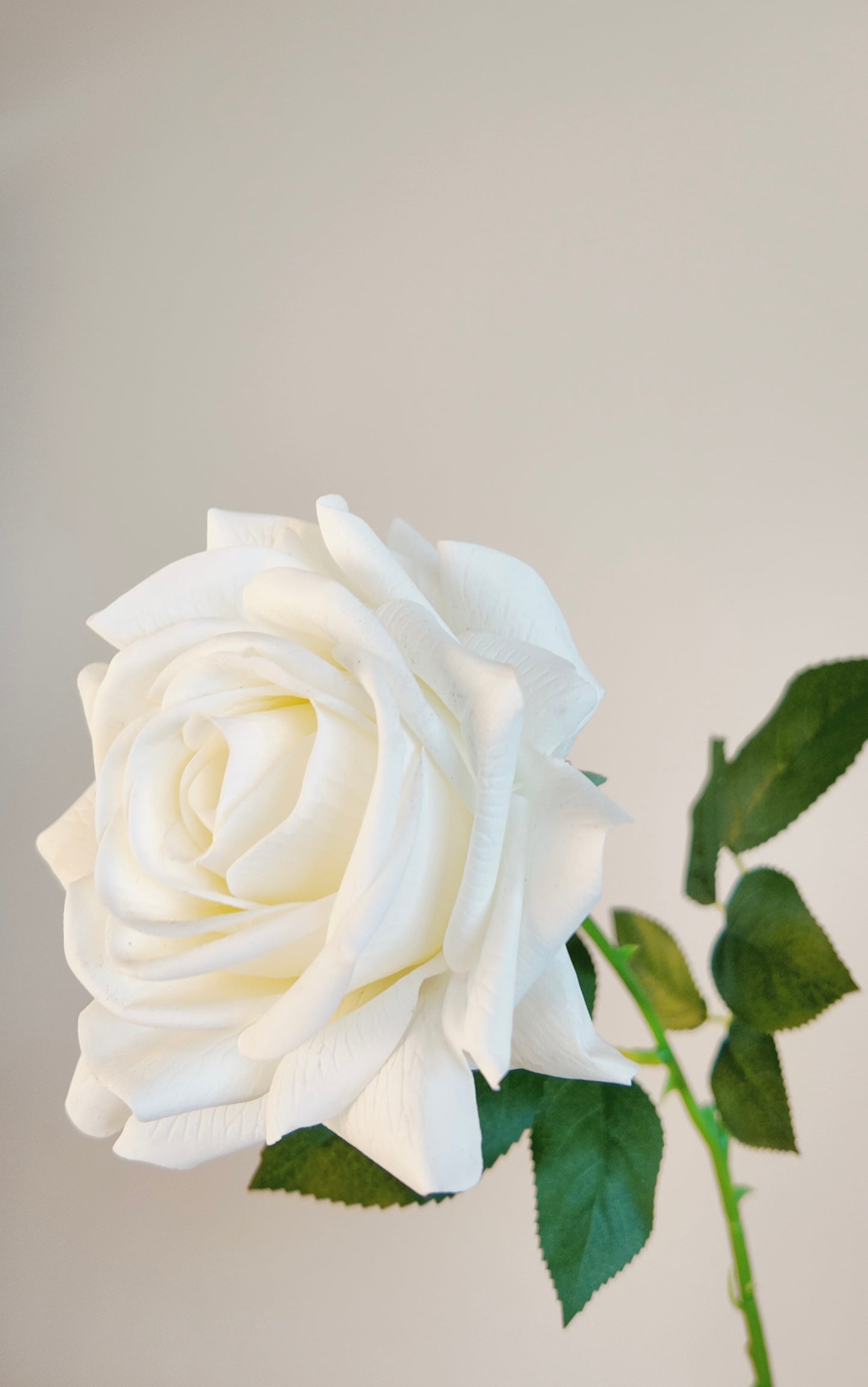 Rose Real Touch Stem