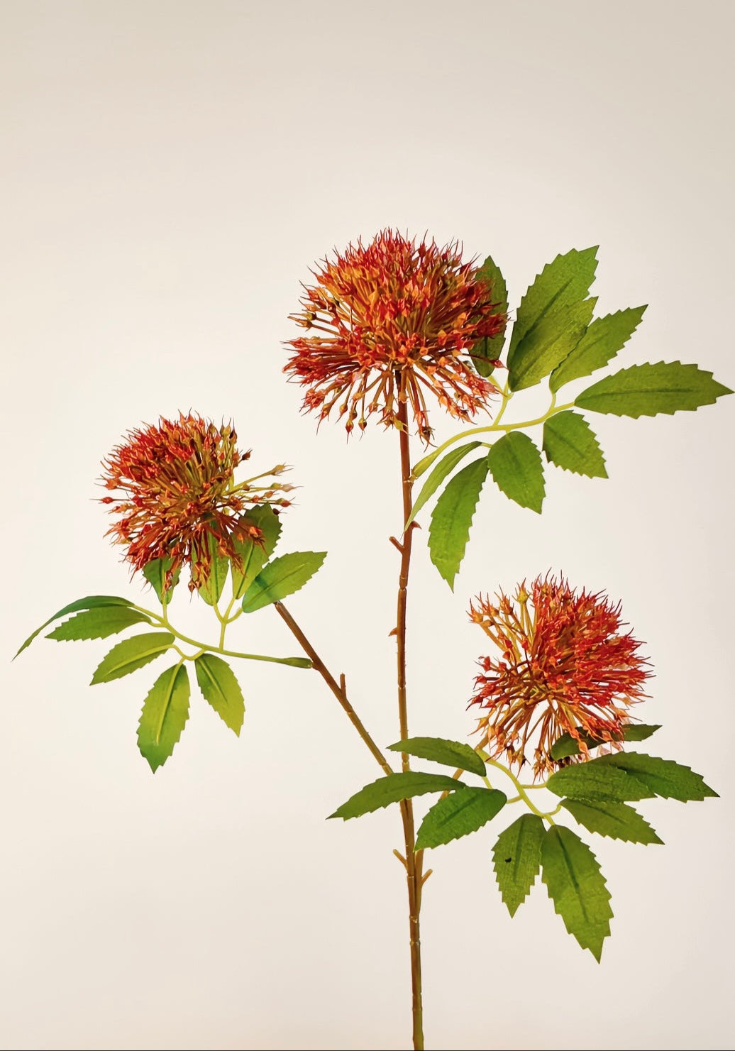 Firework Flower (Scadoxus) Real Touch Stem