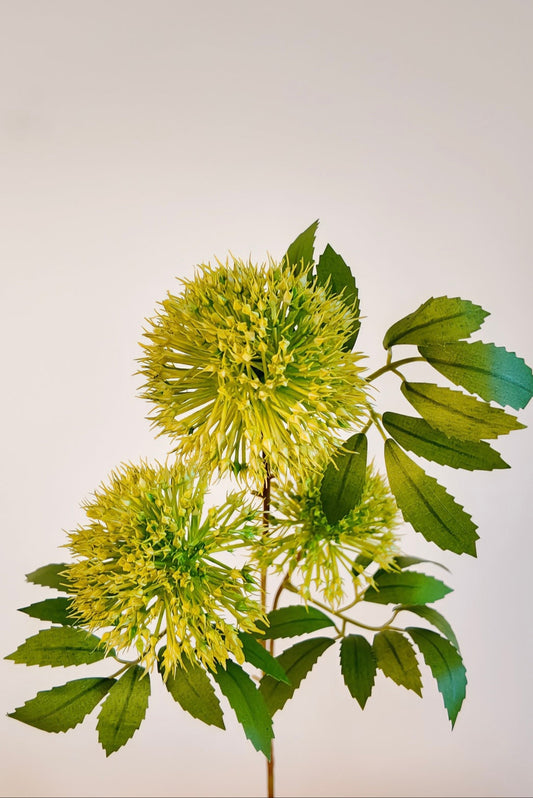 Firework Flower (Scadoxus) Real Touch Stem