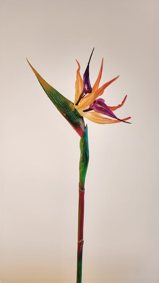 Bird of Paradise Flower Real Touch Stem