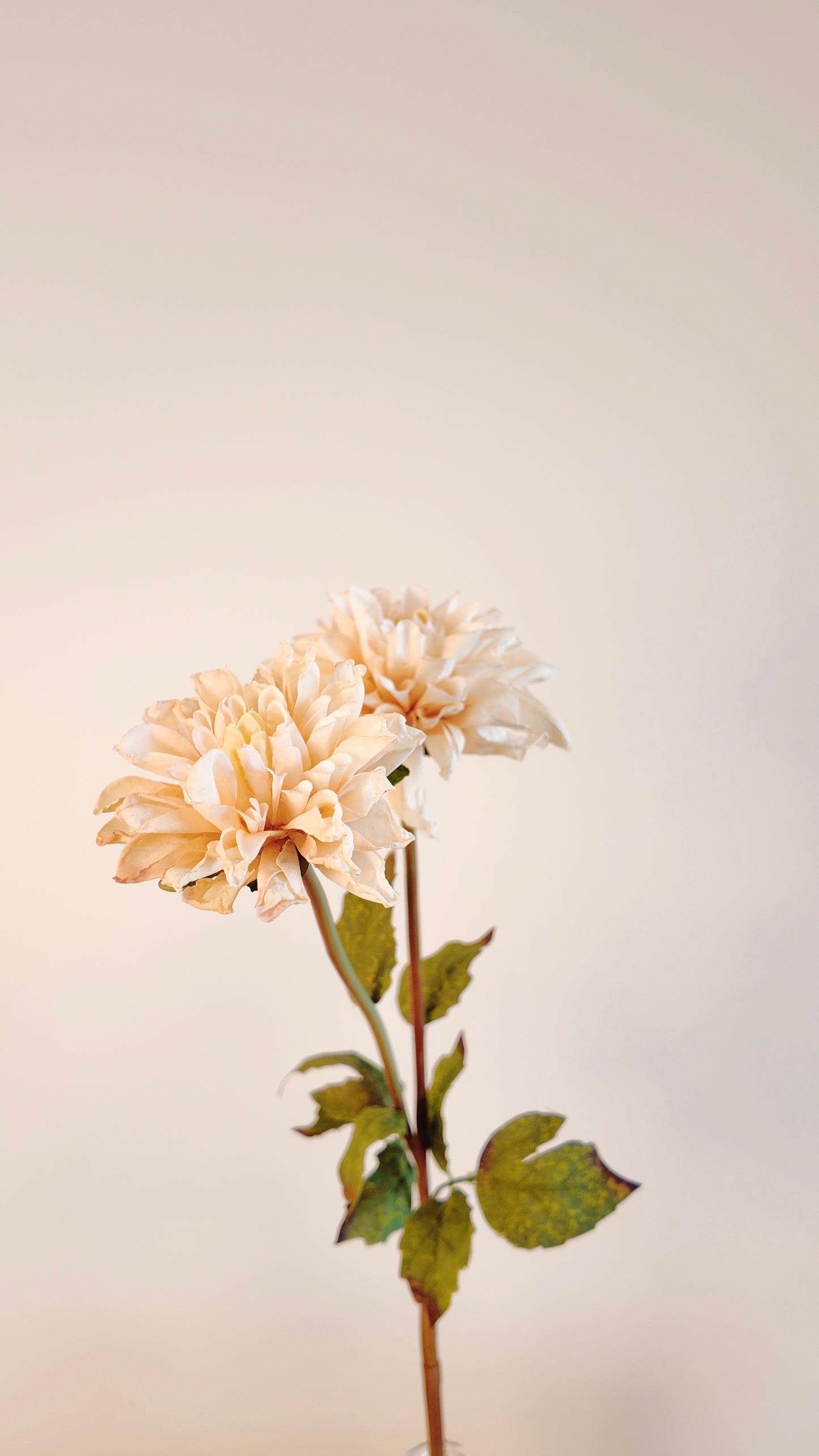 Dahlia Silk Flower Stem