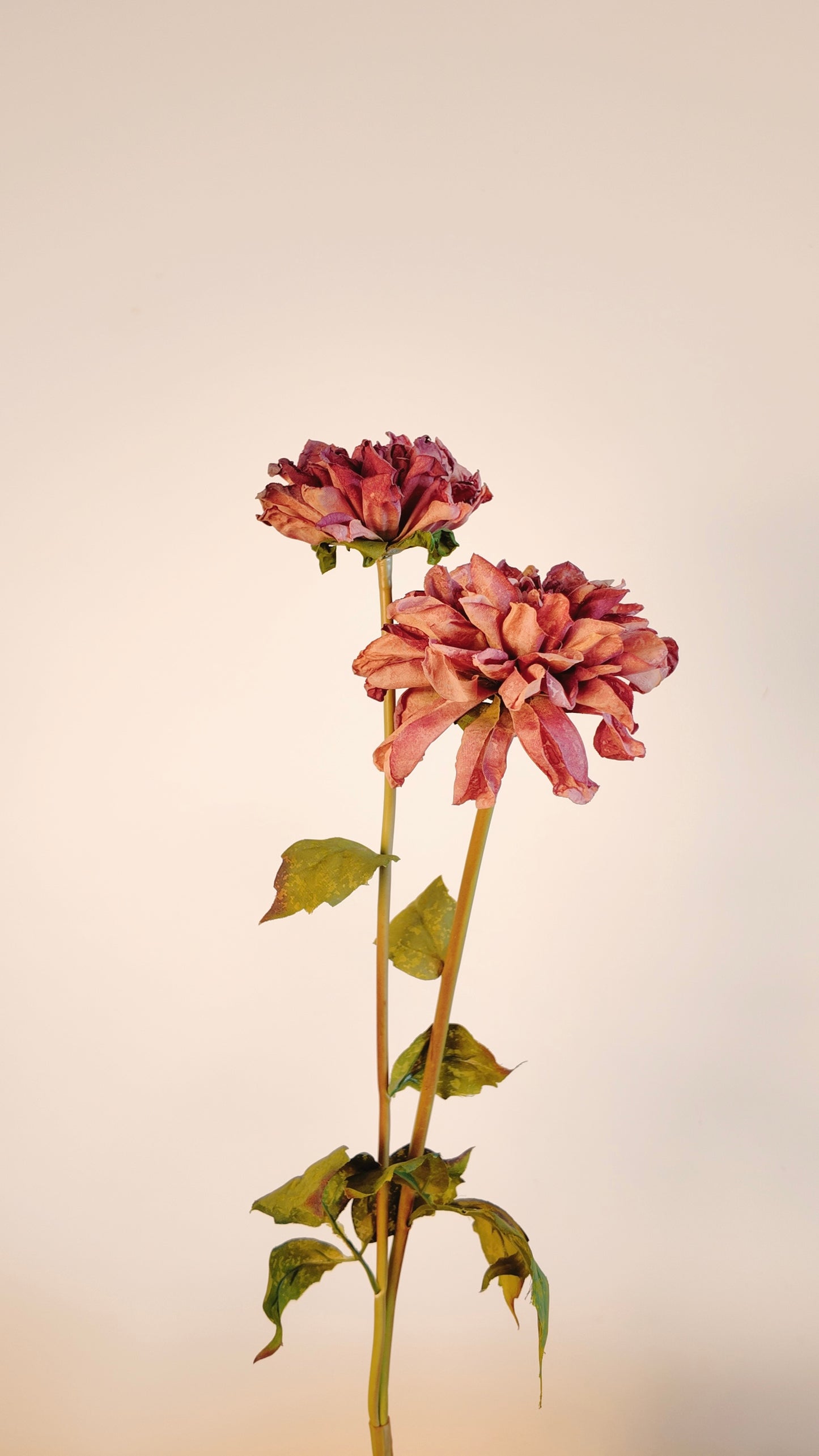 Dahlia Silk Flower Stem