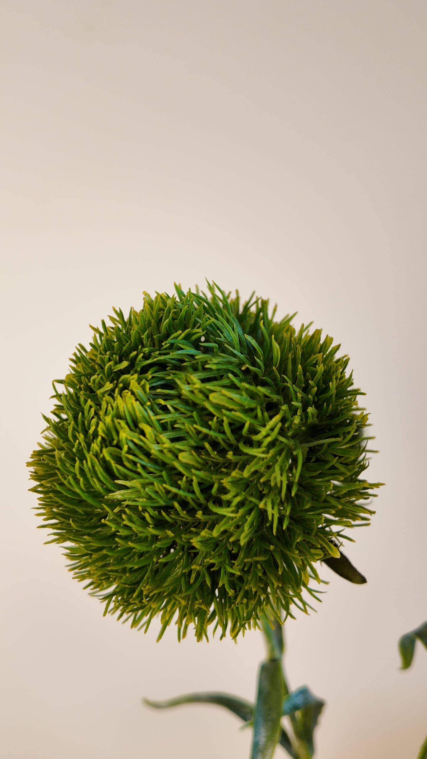 Dianthus Green Ball Real Touch Stem