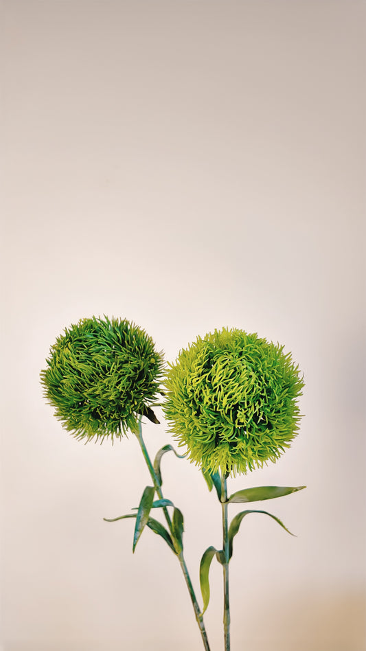 Dianthus Green Ball Real Touch Stem