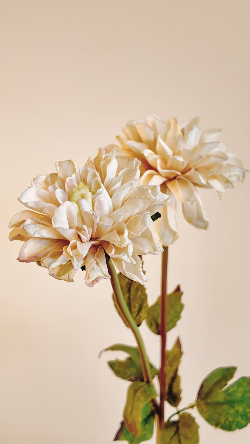 Dahlia Silk Flower Stem