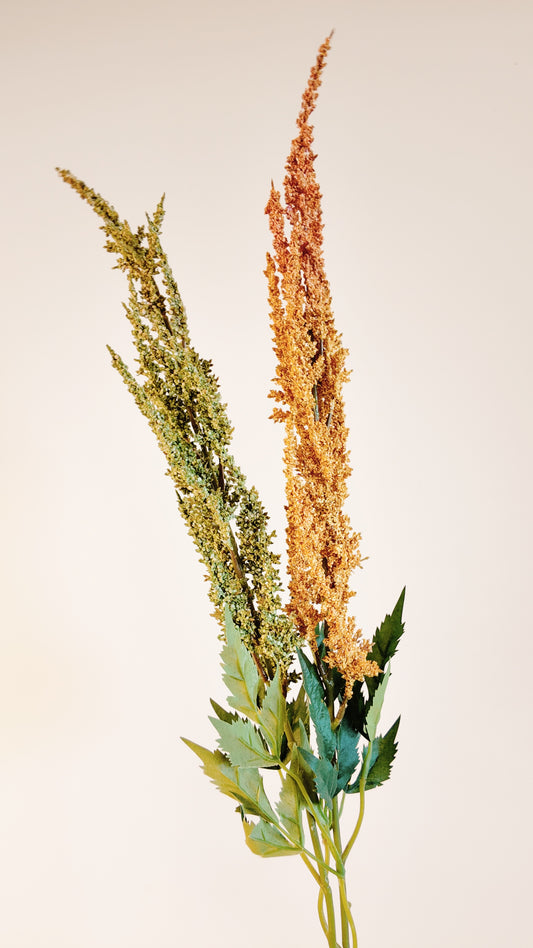 Amaranthus Cruentus Real Touch Stem