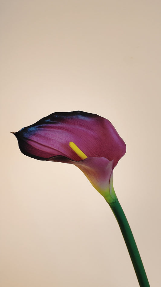 Calla Lily Real Touch Stem
