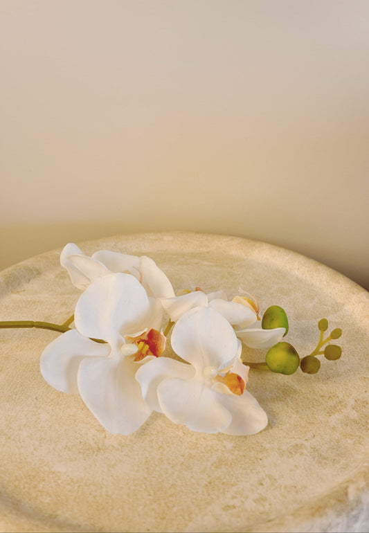 Moth Orchid Real Touch Stem