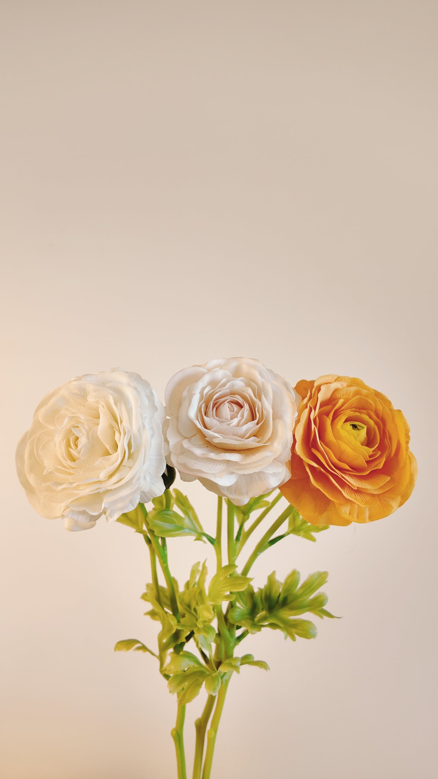 Chinese Rose Real-Touch Stem