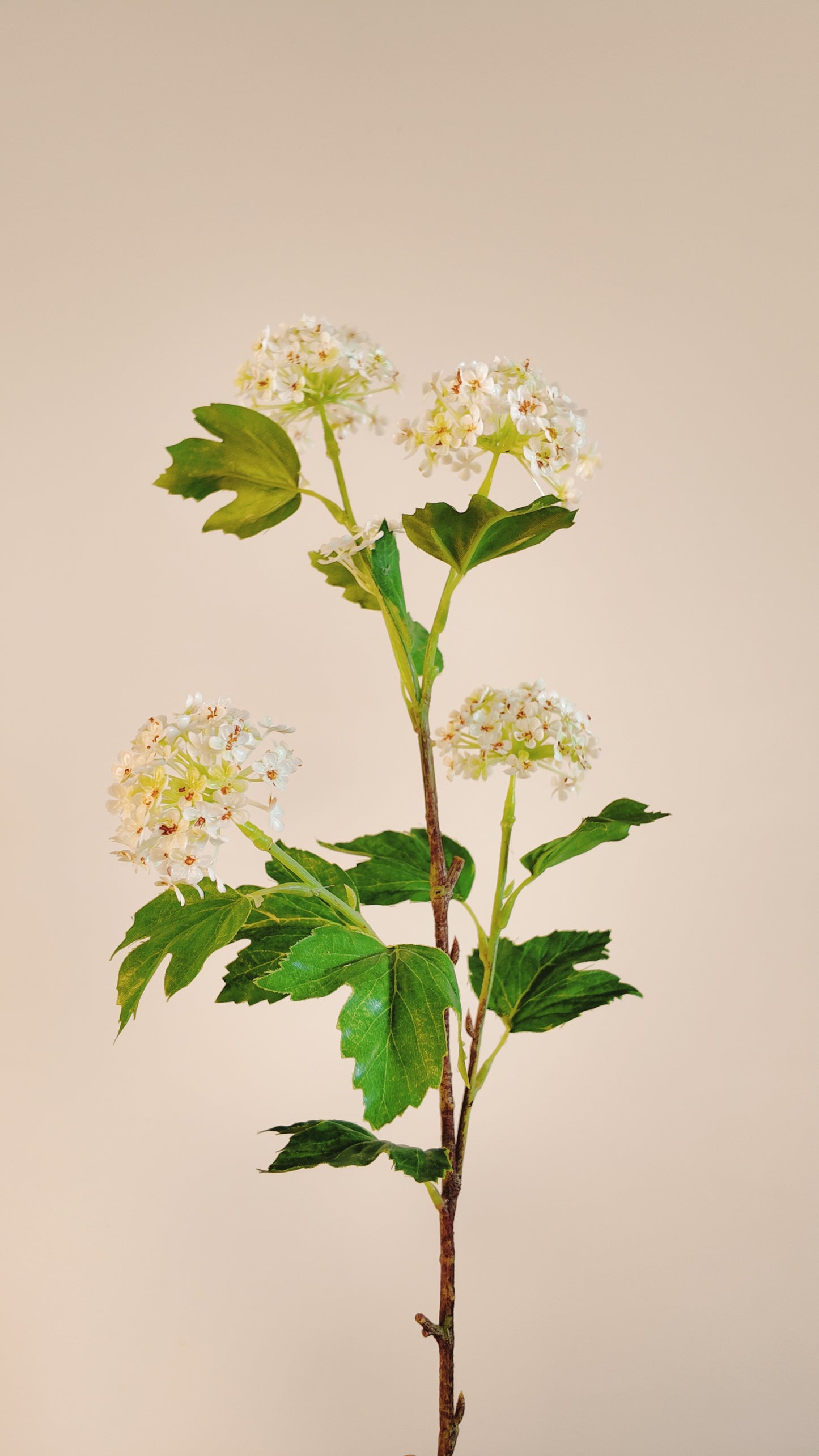 Bridal Wreath/ Squirrel Flower Real Touch Stem