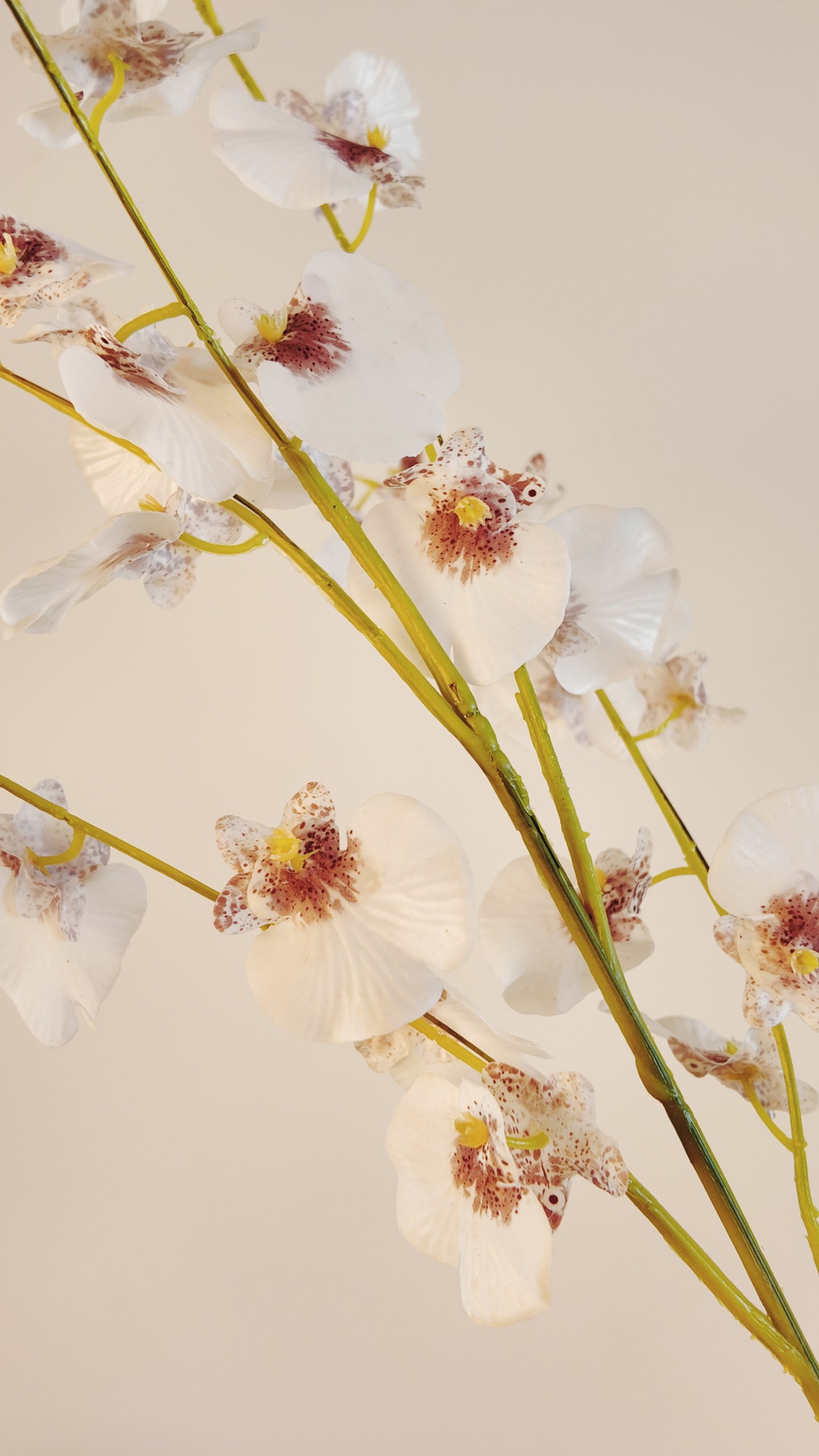 Dancing Orchid Real Touch Stem