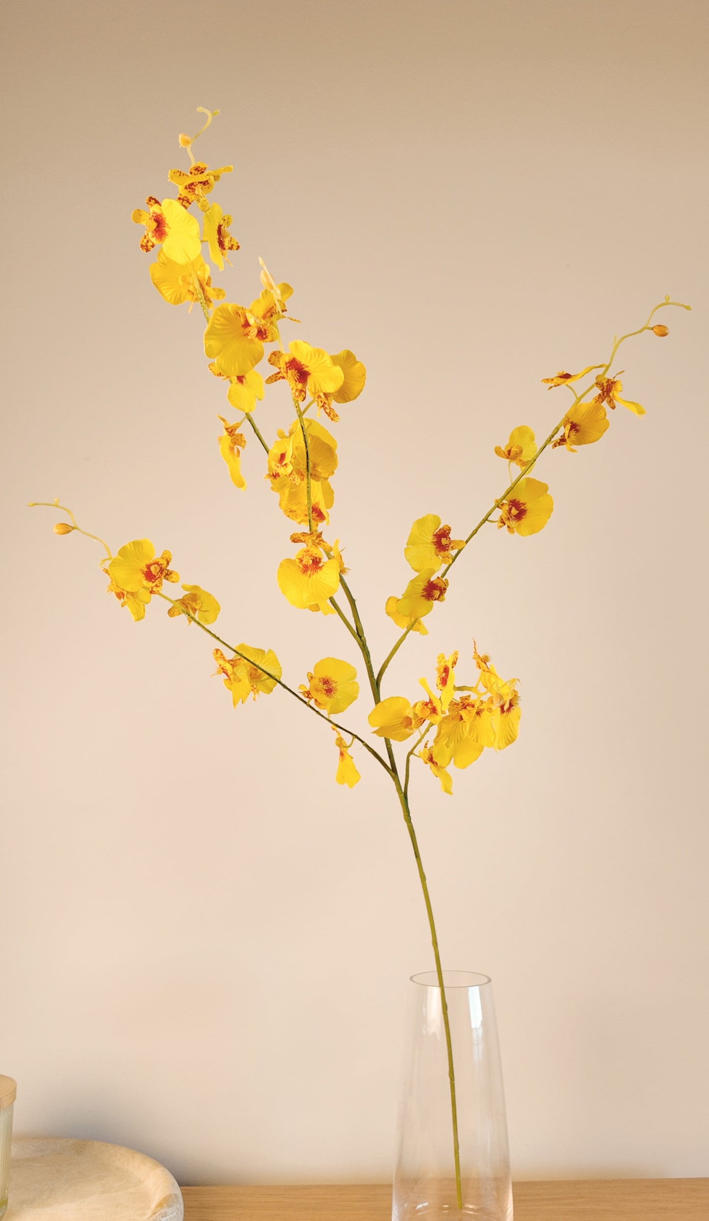 Dancing Orchid Real Touch Stem