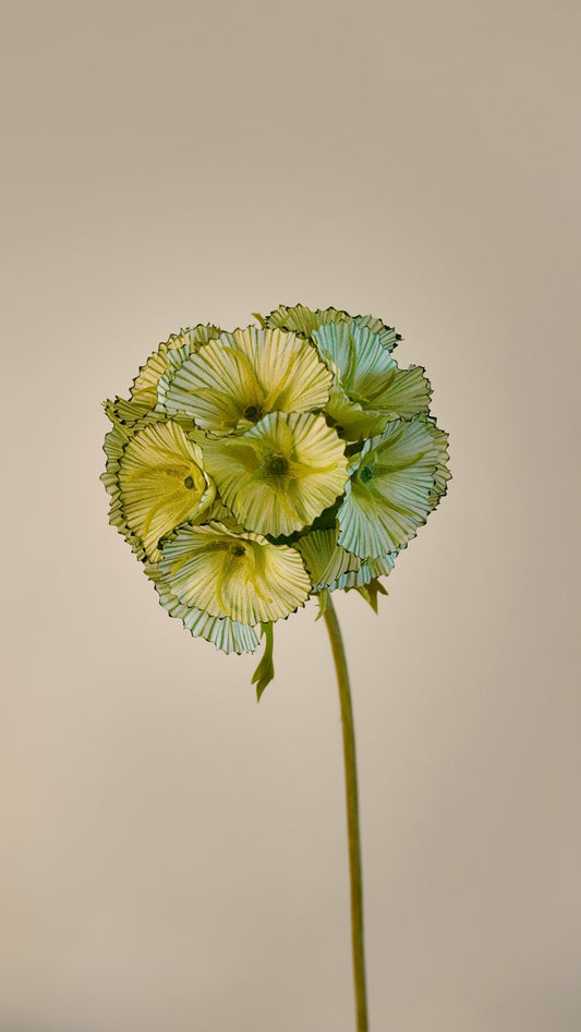 Windmill Fruit/ Scabiosa Pod Silk Stem