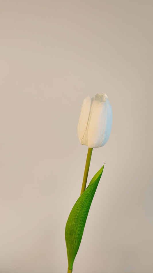 Tulip Real Touch Stem