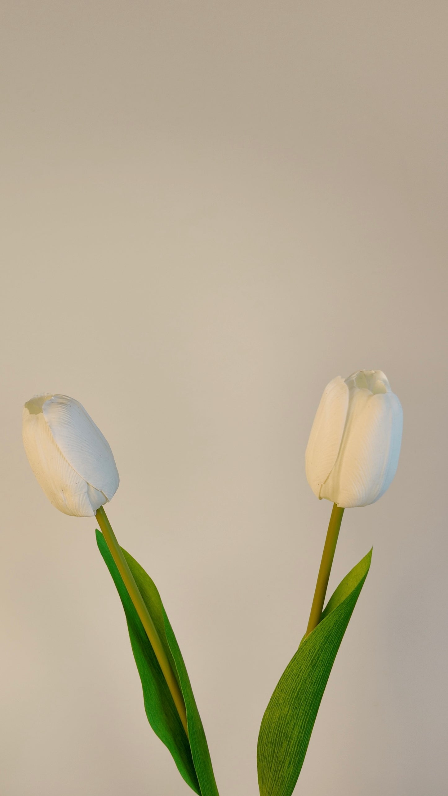 Tulip Real Touch Stem