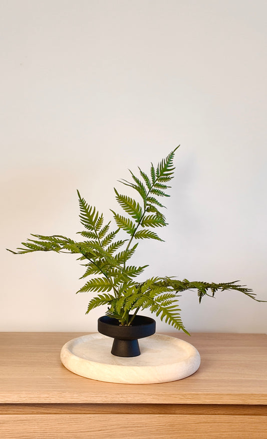 Cibotium Barometz/ Fern Real Touch Stem