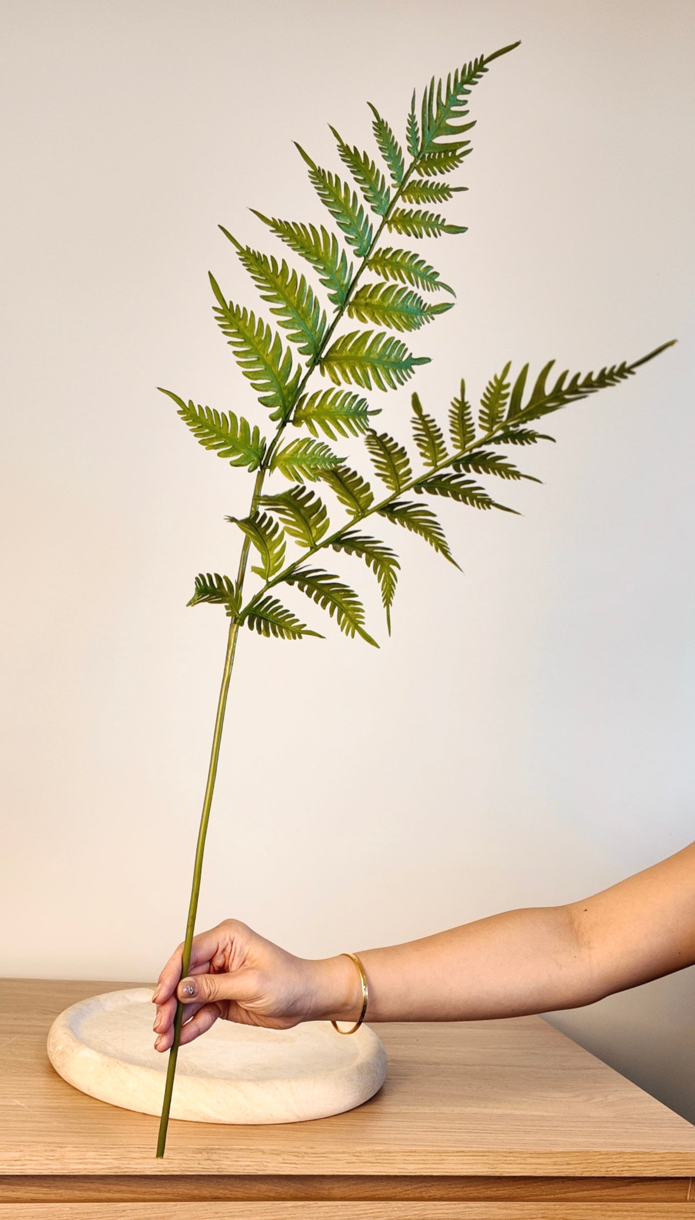 Cibotium Barometz/ Fern Real Touch Stem