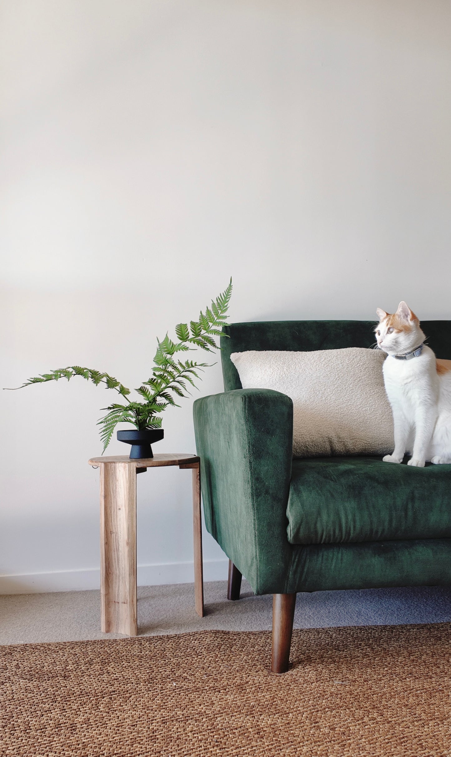Zen Fern Arrangement Kit