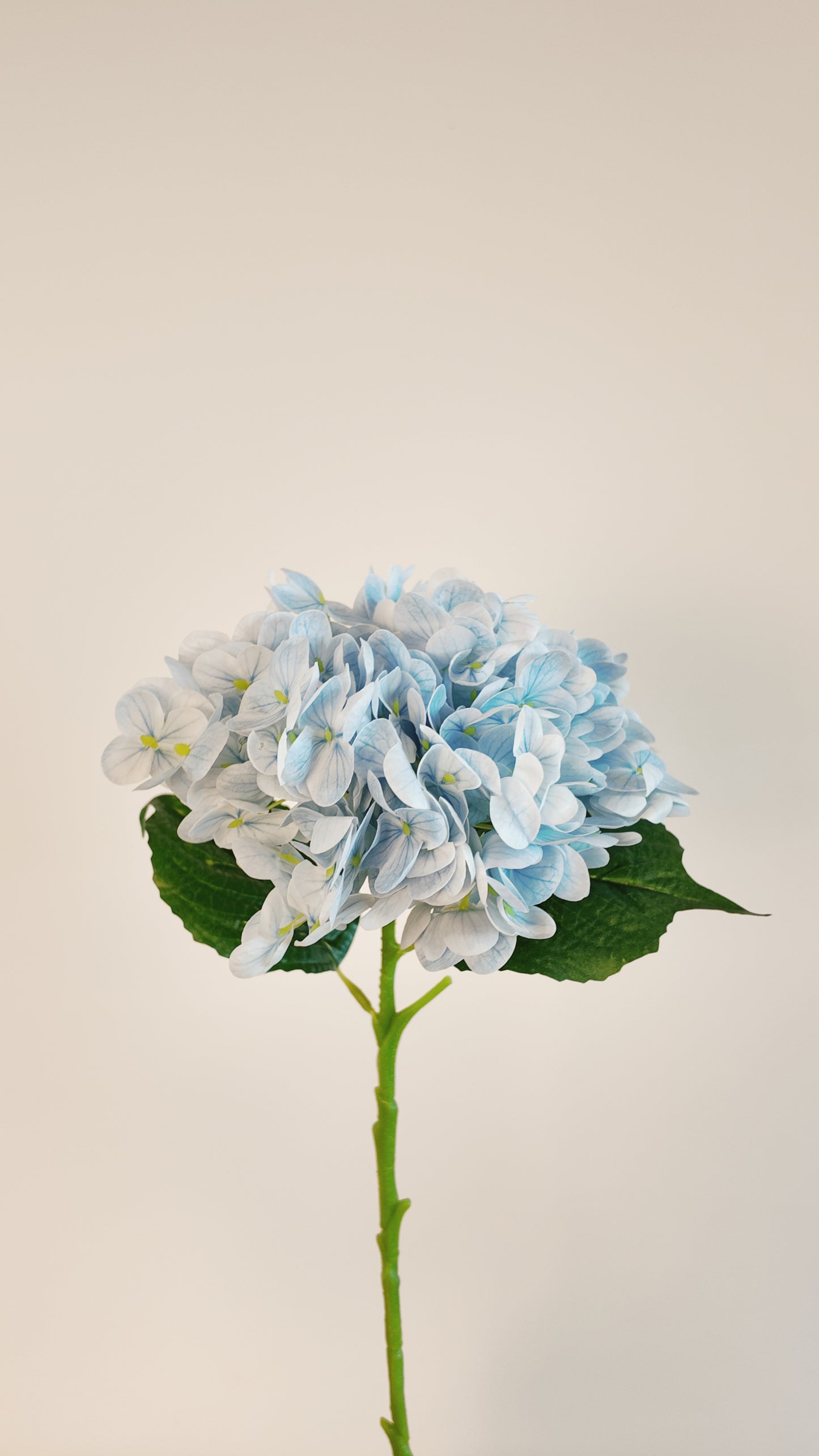 Hydrangea Real Touch Stem