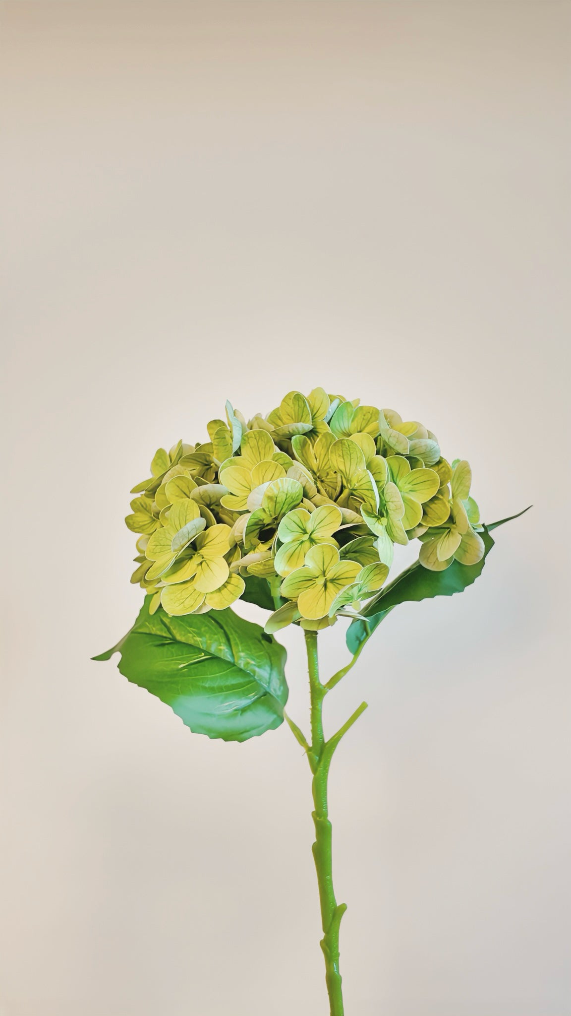 Hydrangea Real Touch Stem