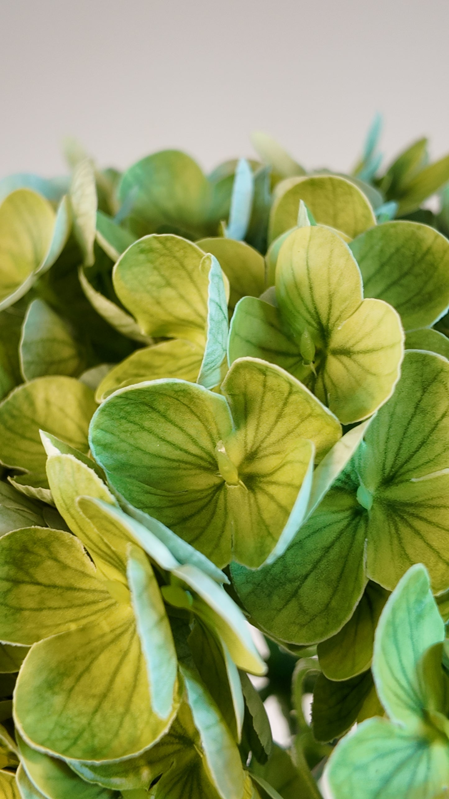 Hydrangea Real Touch Stem